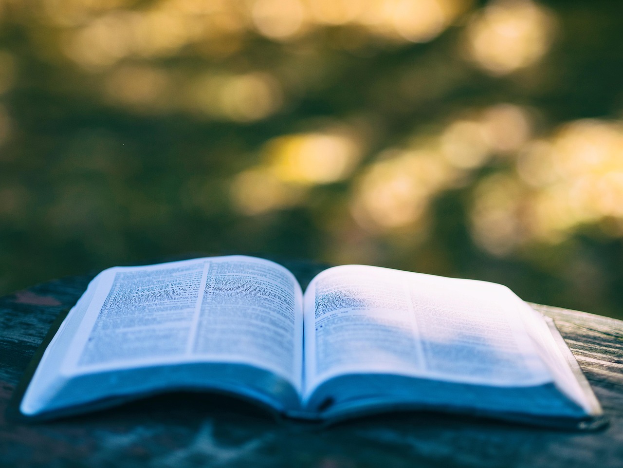 A different way to approach reading expert opinions